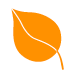 Leaf-orange
